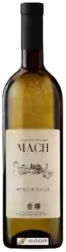 Wijnmakerij Fondazione Edmund Mach - Moscato Giallo Trentino Wijnmakerij Fondazione Edmund Mach - Moscato Giallo Trentino