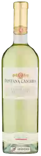 Wijnmakerij Fontana Candida - Frascati Cannellino