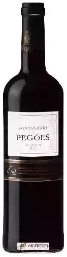 Wijnmakerij Fontanário de Pegões - Palmela Tinto