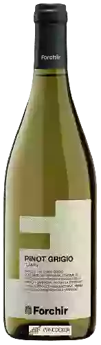 Wijnmakerij Forchir - Lamis Pinot Grigio