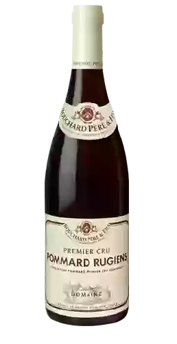 Wijnmakerij Nicolas Potel - Pommard 1er Cru Les Pézerolles