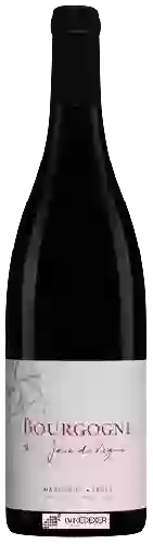 Wijnmakerij Pascal Marchand-Tawse - Joie de Vigne Bourgogne