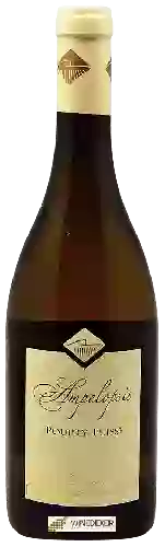 Domaine Saumaize-Michelin - Ampelopsis Pouilly-Fuissé Domaine Saumaize-Michelin - Ampelopsis Pouilly-Fuissé