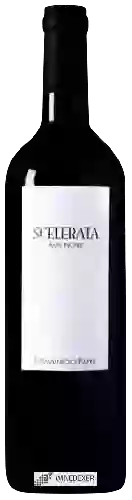 Domaine Sol Payré - Scelerata Âme Noire