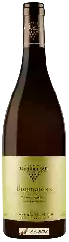Wijnmakerij Francois Carillon - Bourgogne Chardonnay