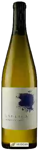 Wijnmakerij Gallica - Albariño