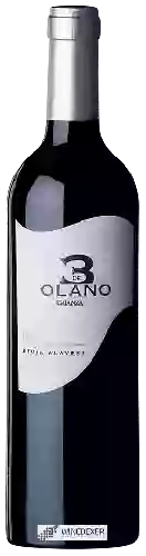 Wijnmakerij García de Olano - 3 de Olano Crianza
