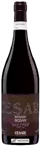 Wijnmakerij Cesari - Bosan Valpolicella Ripasso Superiore