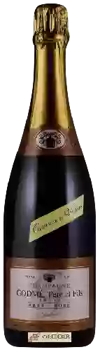 Wijnmakerij Godmé Père et Fils - Brut - Rosé Champagne Grand Cru 'Verzenay' Wijnmakerij Godmé Père et Fils - Brut - Rosé Champagne Grand Cru 'Verzenay'
