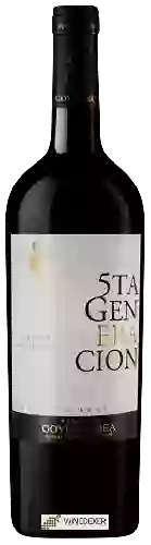 Wijnmakerij Goyenechea - 5TA Generacion Gran Reserva Cabernet Sauvignon