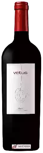 Wijnmakerij Vetus - Toro