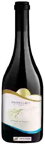 Wijnmakerij H. Stagnari - Amaneceres la Puebla Chardonnay