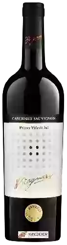 Wijnmakerij H. Stagnari - Primer Viñedo 1x1 Cabernet Sauvignon