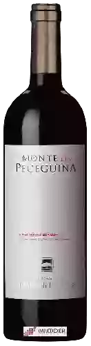 Wijnmakerij Malhadinha Nova - Alentejano Monte da Peceguina Tinto