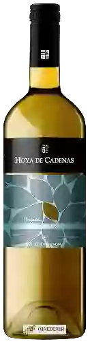 Wijnmakerij Hoya de Cadenas - Organic Verdejo