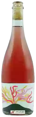 Wijnmakerij Ibi Wines - Apollo Zweigelt Rosé