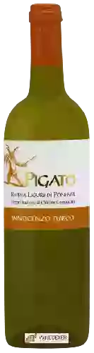 Wijnmakerij Innocenzo Turco - IL Pigato