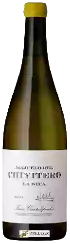 Wijnmakerij Isaac Cantalapiedra - Majuelo del Chivitero La Seca