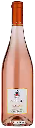 Wijnmakerij Attems - Pinot Grigio Ramato