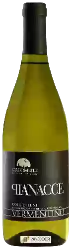 Wijnmakerij Giacomelli - Pianacce Vermentino Colli di Luni