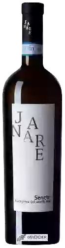 Wijnmakerij La Guardiense - Janare Senete Falanghina del Sannio