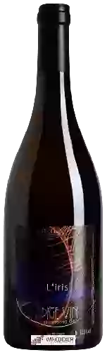Wijnmakerij Jean-Pierre Robinot - l'Ange Vin L'iris