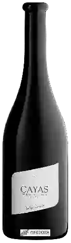 Wijnmakerij Jean-René Germanier - Cayas Réserve