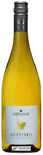 Wijnmakerij Joseph Mellot - Destinéa Sauvignon Blanc