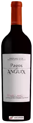 Wijnmakerij Juvé & Camps - Pagos de Anguix Diez Meses en Barrica