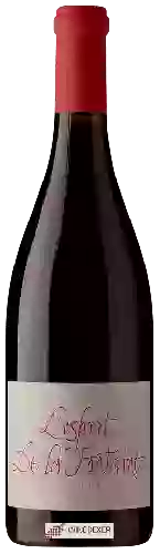 Wijnmakerij l'Esprit de la Fontaine - Rouge