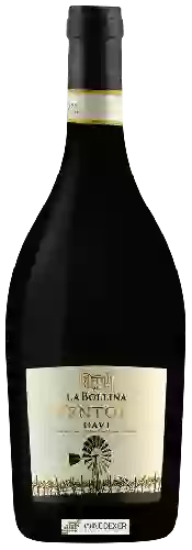 Wijnmakerij La Bollina - Ventola