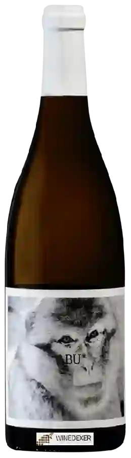 Wijnmakerij La Vinyeta - Abu Wijnmakerij La Vinyeta - Abu