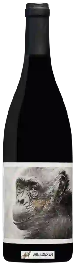 Wijnmakerij La Vinyeta - Bea Wijnmakerij La Vinyeta - Bea