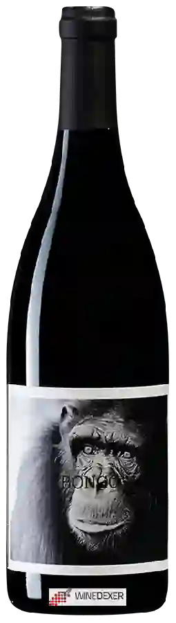 Wijnmakerij La Vinyeta - Bongo Wijnmakerij La Vinyeta - Bongo