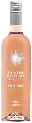 Wijnmakerij Lamberti - Blush Pinot Grigio delle Venezie