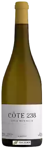 Wijnmakerij Laurent Miquel - La Côte 238 Pech Gentille Albarino