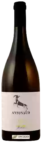 Wijnmakerij Le Anfore - Ansonaco