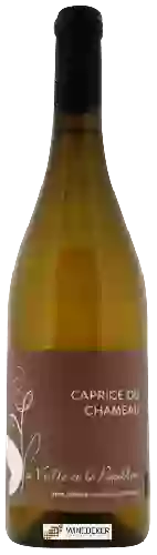 Wijnmakerij La Vrille et le Papillon - Caprice du Chameau