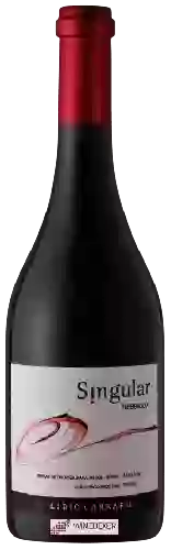 Wijnmakerij Lidio Carraro - Singular Nebbiolo