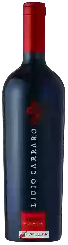 Wijnmakerij Lidio Carraro - Tannat (Grande Vindima)