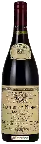 Wijnmakerij Louis Jadot - Chambolle-Musigny Les Fuées