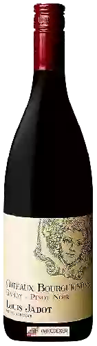 Wijnmakerij Louis Jadot - Coteaux Bourguignons Gamay - Pinot Noir