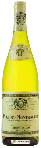 Wijnmakerij Louis Jadot - Puligny-Montrachet