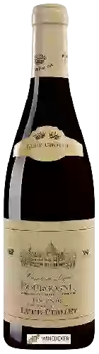 Wijnmakerij Lupé-Cholet - Comte de Lupé Bourgogne Pinot Noir Wijnmakerij Lupé-Cholet - Comte de Lupé Bourgogne Pinot Noir