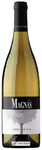 Wijnmakerij Magnàs - Pinot Grigio