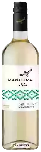 Wijnmakerij Mancura - Etnia Sauvignon Blanc