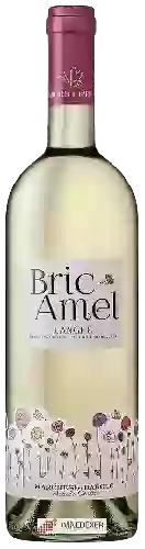 Wijnmakerij Marchesi di Barolo - Bric Amel Langhe