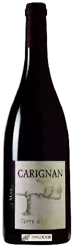 Wijnmakerij Mas de Lavail - Terre d'Ardoise Vieilles Vignes Carignan Rouge