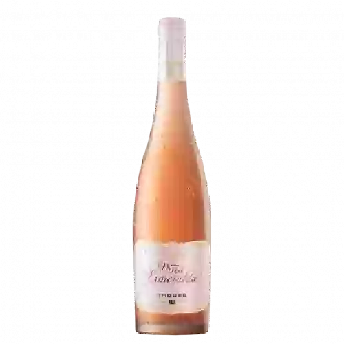 Vignobles Fontan - Rosé & Gourmand