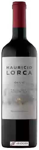 Wijnmakerij Mauricio Lorca - Opalo Syrah